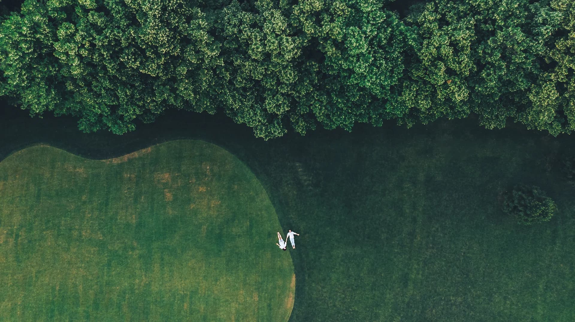 Culture & Engagement