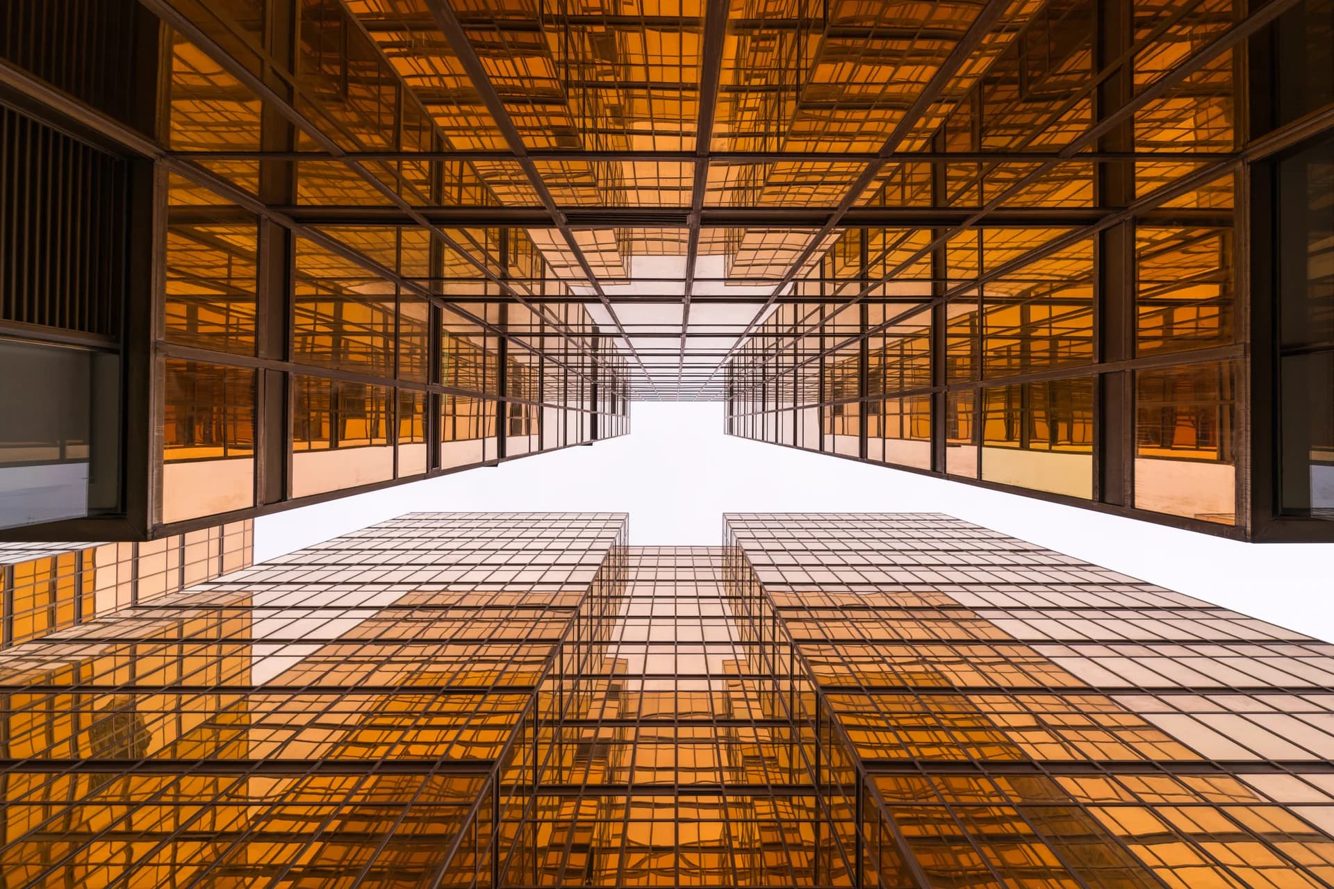 Organization & Culture